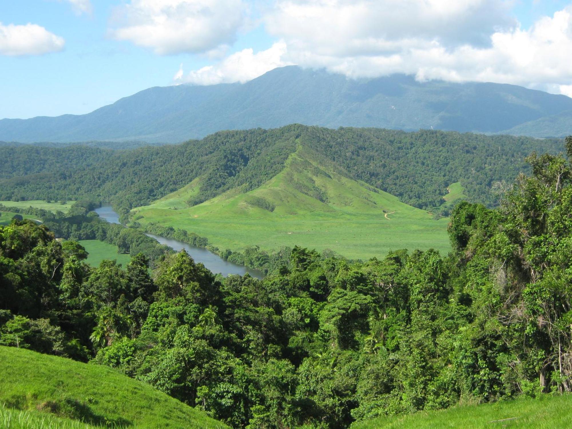 Daintree Riverview Lodges Exterior foto