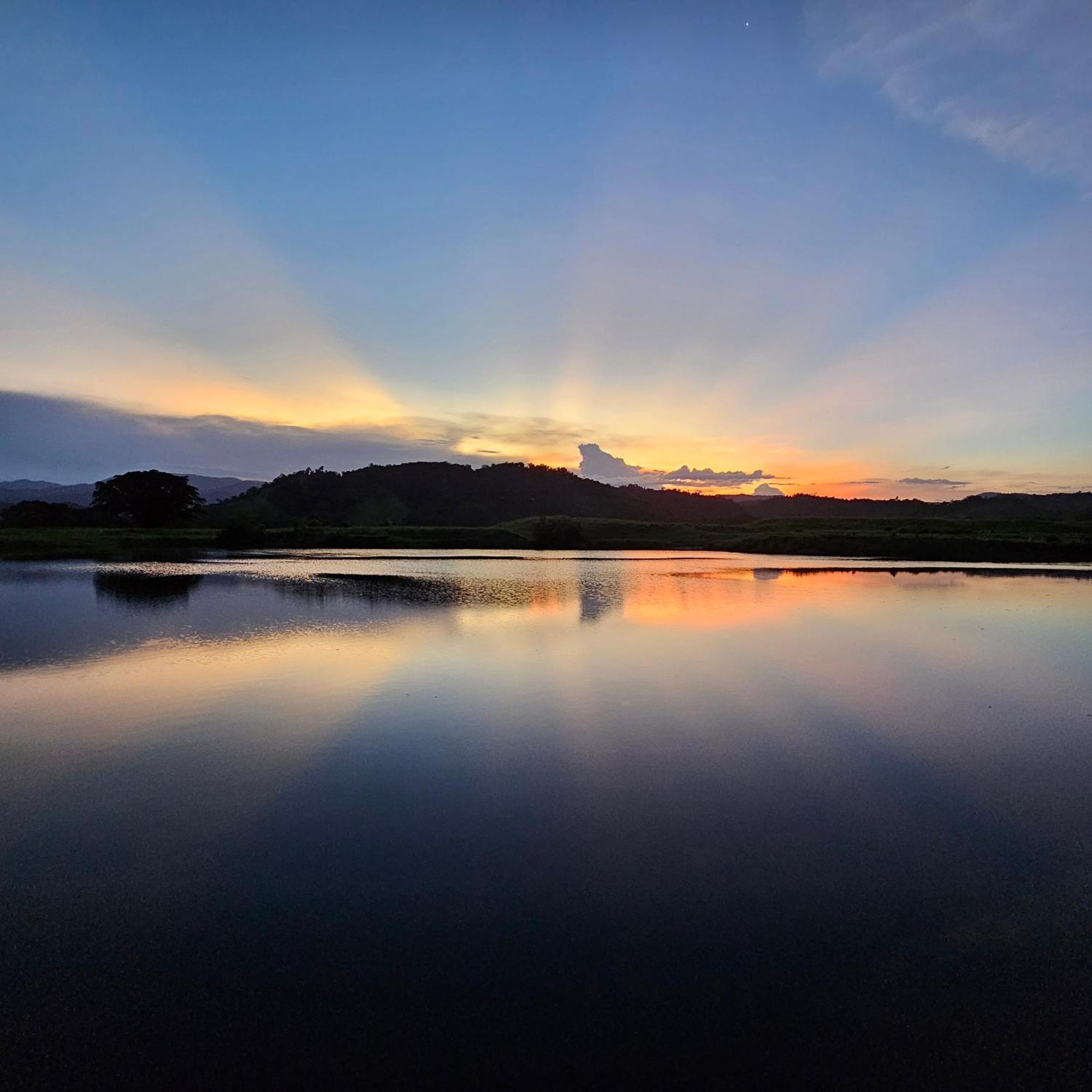 Daintree Riverview Lodges Exterior foto